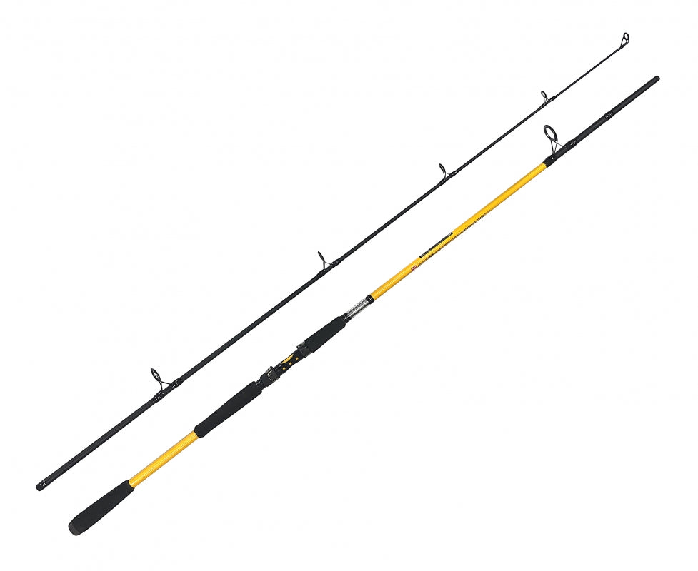 Lanseta Zfish  240cm, 100-250g, 2seg