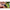 Lanterna Korum Supa Lite Headtorch, 300l