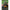 Lanterna De Cap Korum Neoteric Compact Headtorch, 550 Lumeni