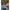 Leadcore Fox Naturals Splice Hooklength 50lb-22.7kg, 20m