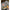 Leadcore Fox Naturals Splice Hooklength 50lb-22.7kg, 20m