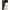 Line Aligner Fox Edges Camo Short Aligna, 10buc/pac