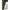 Line Aligner Fox Edges Naturals Flippa, 10buc/pac