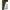 Line Aligner Fox Edges Naturals Flippa, 10buc/pac