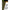 Line Aligner Fox Edges Naturals Shrink Alinga, 10buc/pac
