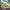 Line Aligner Korda Kicker Rig Aligner, Pink / Yellow, Marime L, 10buc/pac