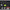 Lingurita Oscilanta Neo Style Bottom Killer 30 Matt Olive-fluorescent Glossy White 1.5g