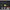 Lingurita Oscilanta Neo Style Bottom Killer P-03 Pellet Black 1.5g