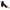 Lingurita Rotativa Palms Spin Walk QR 6.5gr, BMB