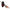 Lingurita Rotativa Palms Spin Walk Qr 6.5gr, Bti