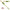 Linie Varga Mikado Pluta 005 4.0g Fir 0.18 0.16mm Carlig Nr. 10