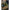 Lopata Korum Bait Scoop Small, Kaki, 1buc/pac