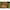 Lopata Nadire Fox Large Baiting Spoon, Black