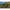 Lopata Nadire Zfish Baiting Spoon Remix Full S, 25x9x6cm