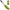 Lopata De Nadire Carp Academy Baiting Spoon Xl Cu Maner Detasabil