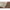 Montura Guru Bayonets Carlig Nr.12 022mm 10cm 8buc Pl