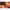 Montura Guru Bayonets Carlig Nr.12 022mm 10cm 8buc Pl