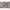 Montura Korda Dark Matter Nr 4 20lb