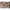Montura Korda Dark Matter Nr 4 20lb