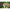 Montura Korda N-trapdf Wide Gape Nr.8/15lb