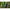 Montura Korda Ready Zigs Barbed, Nr.10/8lbs, 3buc/rola 180cm