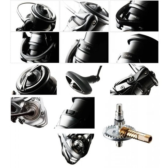 Mulineta Daiwa Caldia Lt 2500d