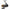 MULINETA DAIWA CERTATE G 2500 10RUL/200MX023/4.8:1