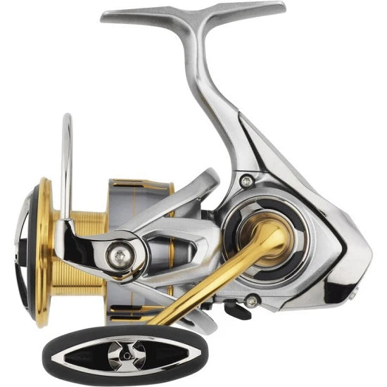 Mulineta Daiwa Freams Lt 1000s