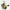 Mulineta Daiwa Freams Lt 1000s