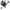 MULINETA DAIWA LEGALIS LT 4000D-C 5RUL/150MX037/5