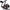 MULINETA SHIMANO SUSTAIN CI4 1000 FG (6.0:1) US version