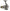 MULINETA SPINNING CORMORAN CORCAST 2500 FD 4PIF