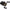 MULTIPLICATOR DAIWA MORETHAN PE 1000XHL-TW 12RUL/8,6:1/100M/029MM