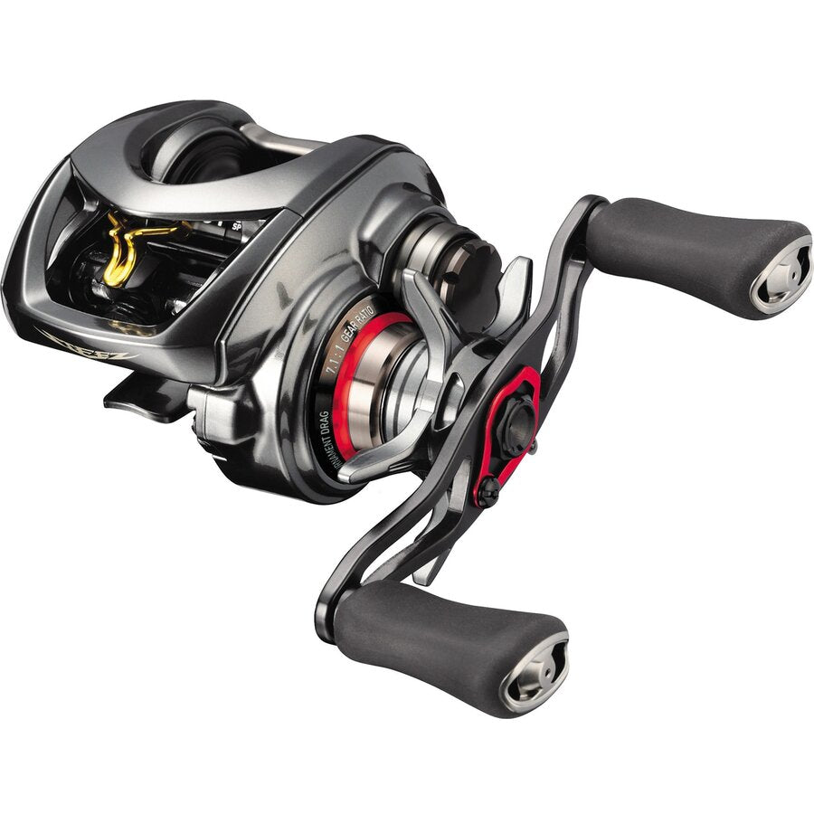 MULTIPLICATOR DAIWA STEEZ CT SV TW 700SHL 80MX0.26MM
