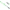 Maner Minciog Zfish Delta Tele Landing Net Handle, 2.70m, 3seg