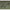 Manson Fox Rage Predator Camo Treble Hook Sleeves, Medium, 10buc/pac