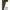 Manson Ronnie Rig Fox Edges Naturals Spinner Sleeve, 10buc/pac