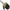 Manusa Black Cat Landing Glove, Marime Xl