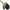 Manusa Black Cat Landing Glove, Marime XL