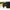 Manusi Preston Lightweight Gloves, Small-medium, Black