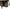 Masa Avid Carp Bivvy Organiser Xl, 60x35x25cm