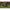 Masa Avid Carp Bivvy Organiser 30x50x23cm