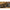 Method Feeder Guru Inline Pellet, Mini, 24g, 1buc/blister