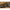 Method Feeder Guru Inline Pellet, Mini, 24g, 1buc/blister