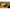 Method Feeder Korum Double Method Feeder, 50g, 1buc/pac