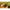 Method Feeder Korum Double Method Feeder, 60g, 1buc/pac