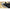 Minciog Carp Expert Classic 55x55x60cm/2.0m, 2seg