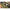 Minciog Carp Expert Commercial Cu Maner Multilock 60x60x60cm/2.5m, 2seg