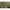 Minciog Carp Expert Max1, 85x85cm, Maner 180cm
