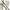 Minciog Carp Monster Carbon Cu Flotor, Nylon Block, 183cm